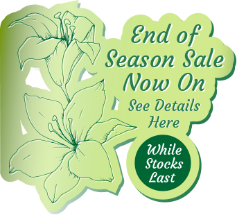 End of Season Sale